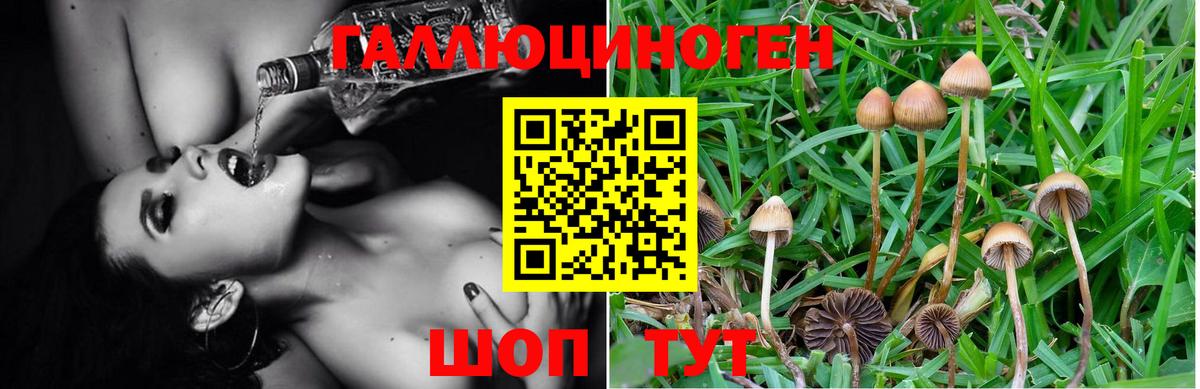 Галлюциногенные грибы мицелий  Вход с VPN  Чистополь 